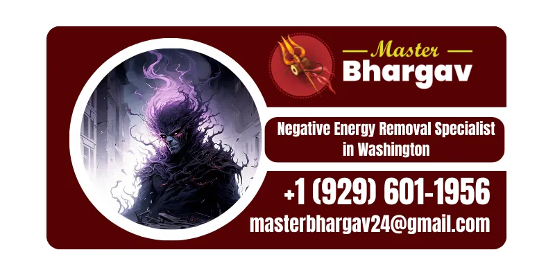 No1 Negative Energy Removal in Washington